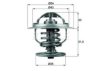 BEHR TX 109 87D Thermostat, coolant
